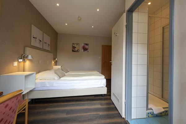 Standard double room - Rooms